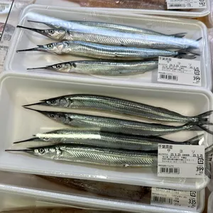 サヨリ